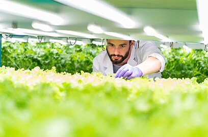 A worker checking plants in a greenhouse